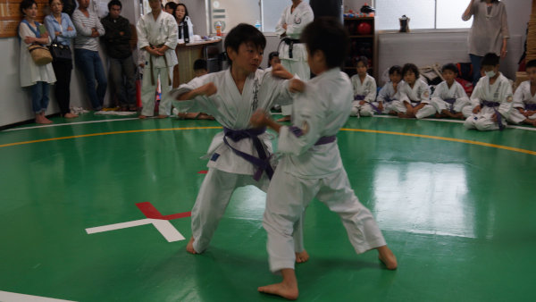 smu5 (127).jpg